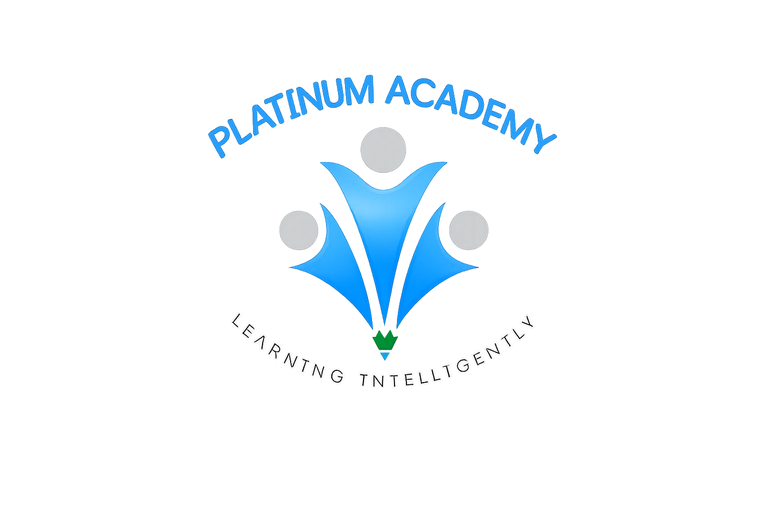 Platinum academy
